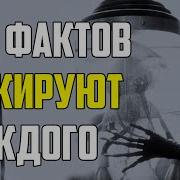 200 Шокирующих Фактов О Которых Вы