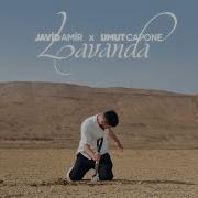 Javid Amir Lavanda