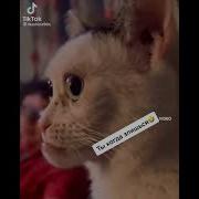 Ты На Него Не Злись Не Обижайся