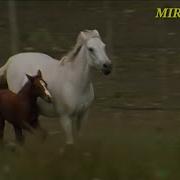 Музыка Аспи Ман Дусти Ман