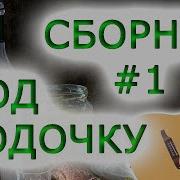 Веселые Песни Под Водочку