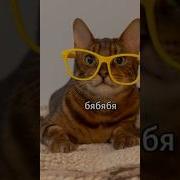 Бя