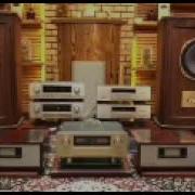 Унитилмас Сехирли Кушиклар