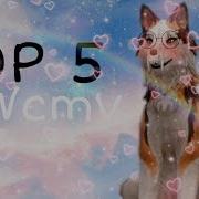 Top 5 Wcmv Wildcraft