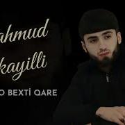 Mahmud Mikayilli Memen O