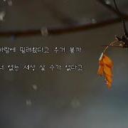 장유정 나떠난후에