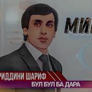 Minus Khayriddini Sharif Bul Bul Ba Dara 2019 Хайриддини Шариф Минус