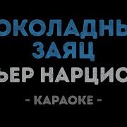 Шоколоадный Заяц Караоке