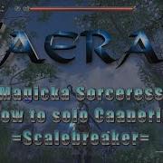 Eso Scalebreaker Magicka Sorceress Soloes Na Ruzz The Boneweaver World Boss Vaerah