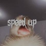 Бебры Все В Адидасах Speed Up