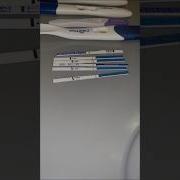 Это Уже Как Традиция