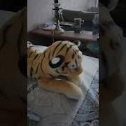 Ой А Кто Тут Сонная Колбаска Вставать Не Хочет Никуда Идти