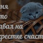 Сегодня Ктото Продавал На Перекрестке Счастье