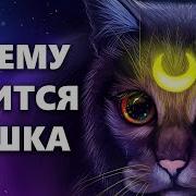 Кошка Что Емк Снитьн Женским Голосом