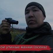 Манок На Утку Осенью