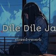 Dile Dile Jaa Slowed