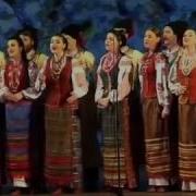 Нова Радiсть Стала Кубанский Казачий Хор