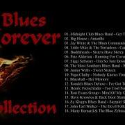 Blues Forever Vol 1