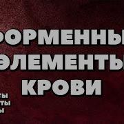 Отов Элемент Крови
