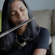 Shape Of You Ed Sheeran Flute Cover