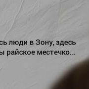 Болотный Доктор Фразы