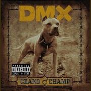 Dmx Were Back