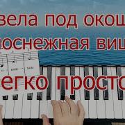 Расцвела Под Окошком
