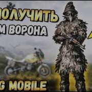 Как Получить Костюм Ворона В Pubg Mobile Легендарный Костюм В