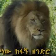 Mebrie Mengistie Minew Kefagn Zendro መብሬ መንግስቴ ምነው ከፋኝ ዘንድሮ Ethiopian Traditional Music