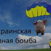 Приказ Уйти На Месяц Полодка Приняла