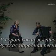 Надежда Фадина У Ворот Сосна Зеленая