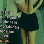 Йараланган Куш Хамон Учмокда
