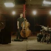 Gogo Penguin Branches Break