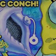 The Magic Conch Shell