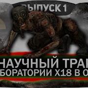 Научный Трактат В Лаборатории Х 18 В Сталкер Народная Солянка Оп 2