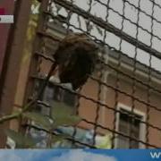 Концовка Программы Воскресное Время