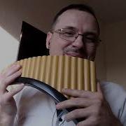 Рыбников Вам И Не Снилось Панфлейта Най Panpipes