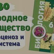 Биология 6 Класс 30 Параграф Слушать Пономарева