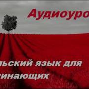 Аудиокурс Польского Языка