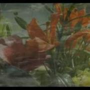 Мухаббат Душанбе Песня