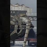 Это Что Динозавр Да