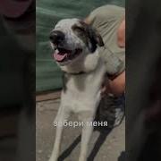 Але Мам Забери Меня Куда Забрать Как Куда Домой