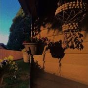 Audiowavez Ruminate