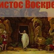 Вы Слышали Каа Утром Пели Птицы