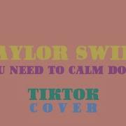 Taylor Swift You Need To Calm Down Tiktok Cover