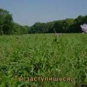 Косари На Лугу 2 Mpg Mp4