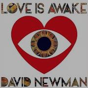 David Newman Wonder