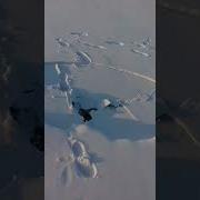 Я Выебанный В Щи