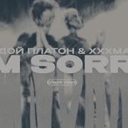 I M Sorry Молодой Платон