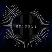 Maroon 5 Animals 8D Audio 8D Tunes